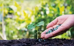 Tháo gỡ nút thắt để 'xanh hóa' ngành hóa chất