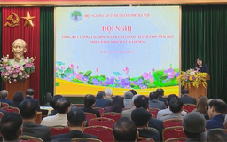 Chăm sóc, phát huy vai trò người cao tuổi