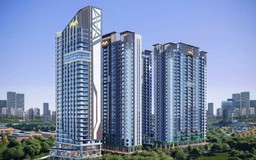 TP.HCM cảnh báo rủi ro khi giao dịch BĐS chưa có sổ