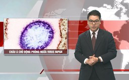Châu Á chủ động phòng ngừa virus Nipah | Nhìn ra thế giới | 30/01/2026