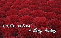 Cuối năm ở làng hương | Nhịp sống Hà Nội | 30/01/2026