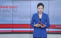 Bản tin Nhà đất và đầu tư | 31/01/2026