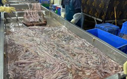 Kho lạnh chứa gần 60 tấn lòng lợn không rõ nguồn gốc
