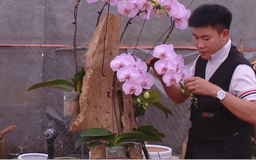 Thị trường hoa sôi động dịp cận Tết