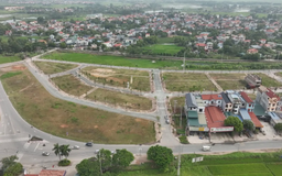 Minh bạch thị trường từ dữ liệu số