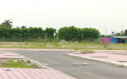 Hà Nội khởi động thị trường đấu giá năm 2026