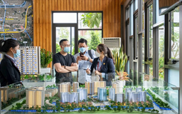 Cần siết chặt quản lý hoạt động môi giới bất động sản