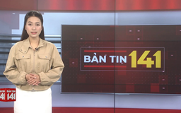 Bản tin 141 | 07/01/2026