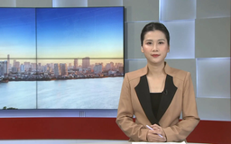 Chương trình Thời sự 11h30 | 08/01/2026