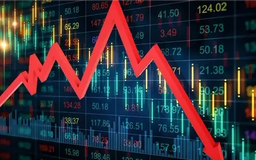 VN-Index giảm hơn 6 điểm