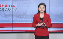 Bản tin Nhà đất và đầu tư | 08/01/2026