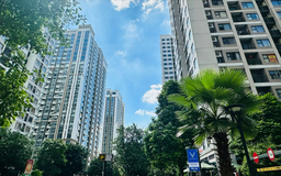 Nguồn cung căn hộ Hà Nội, TP.HCM lập kỷ lục mới