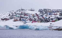 Mỹ cân nhắc trả tiền để sáp nhập Greenland