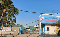 Lãnh đạo Đồ Hộp Hạ Long đồng loạt từ nhiệm