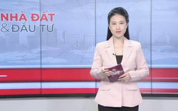 Bản tin Nhà đất và đầu tư | 09/01/2026