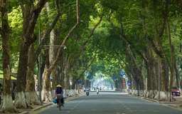 Thời tiết 10/1: Nền nhiệt tăng sau 10 giờ sáng, có nắng nhẹ