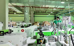 Phát triển kinh tế xanh từ bao bì xanh