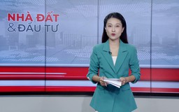 Bản tin Nhà đất và đầu tư | 03/10/2026