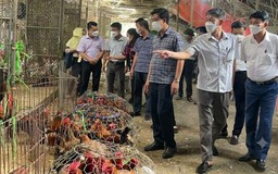 Hà Nội lấy 120 mẫu giám sát tại các chợ đầu mối | Sống an toàn | 03/10/2026