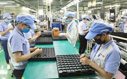 Gỡ rào cản để doanh nghiệp nhỏ và vừa lớn lên