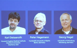 Nghiên cứu di truyền học quang học giành giải Nobel Y sinh 2026