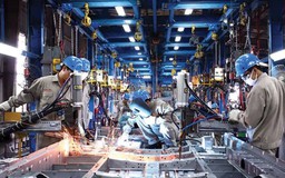 Đưa thực tiễn doanh nghiệp vào giảng đường, gắn đào tạo với nhu cầu nhân lực