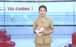 Bản tin Kinh tế Tài chính | 01/02/2026