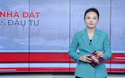 Bản tin Nhà đất và đầu tư | 01/02/2026