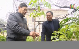 Nguời ươm mầm cho tương lai  | Người tốt quanh ta | 11/02/2026