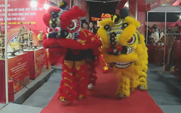 Chuỗi hoạt động chào mừng xuân Bính Ngọ tại xã Phù Đổng