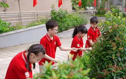Trường học sinh thái ASEAN Việt Nam | Chuyển đổi xanh | 07/02/2026