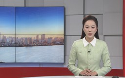 Chương trình Thời sự 11h30 | 12/02/2026