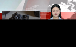 Tham vọng của Mỹ trong cuộc đua khoáng sản chiến lược | Nhìn ra thế giới | 12/02/2026