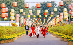 Đường hoa Tết trong không gian Hoàng thành Thăng Long