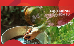 Hương mùi già đón Tết sang