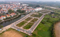 Nhiều lô đất trúng đấu giá vẫn bị bỏ trống