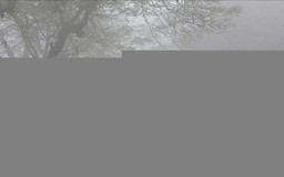Thời tiết 13/2: Hà Nội sáng có mưa phùn và sương mù