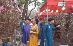 Chợ hoa Hàng Lược những ngày cuối năm