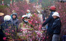 Bắc Bộ chuyển rét từ đêm mùng 1 đến mùng 3 Tết