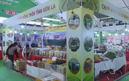 Kiểm soát tốt nguồn cung nông sản dịp Tết Nguyên đán