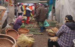 Sắc xuân ngập tràn các chợ Tết Hà Nội