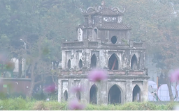 Sáng cuối năm Hồ Gươm ngập tràn sắc xuân