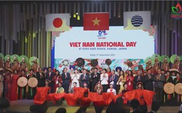 Rực rỡ năm ngoại giao văn hóa