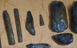 Di chỉ Vườn Chuối