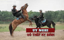 Uy nghi vó thép kỵ binh | Phim tài liệu | 17/02/2026