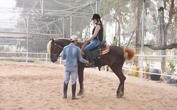 Trải nghiệm trên lưng ngựa đầu Xuân Bính Ngọ