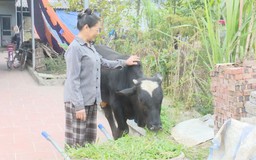 Trao sinh kế - Trao khởi đầu mới
