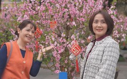 Vườn hoa nội đô – điểm hẹn vui xuân giữa lòng thành phố