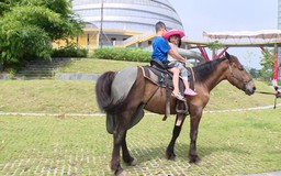 Cưỡi ngựa - trải nghiệm đáng nhớ tại Cung thiếu nhi Hà Nội