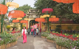 Đường hoa Tết tại Hoàng thành Thăng Long